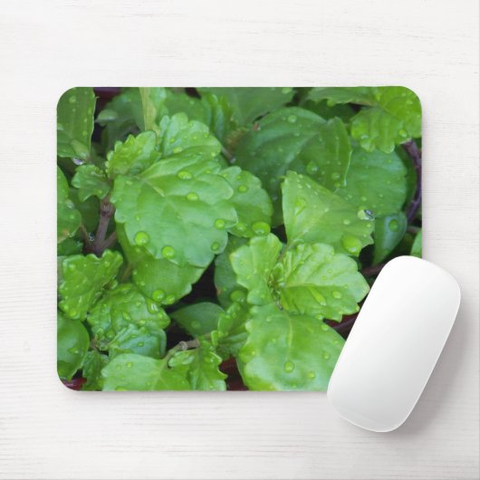 Kriechender Charlie Mousepad (Mit Mouse)