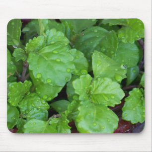 Kriechender Charlie Mousepad