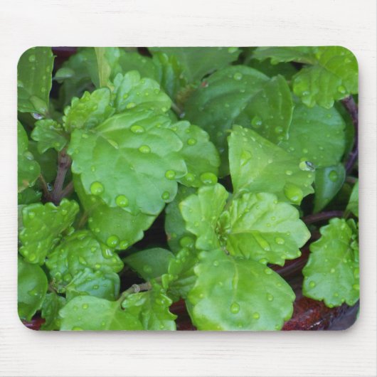 Kriechender Charlie Mousepad (Vorne)