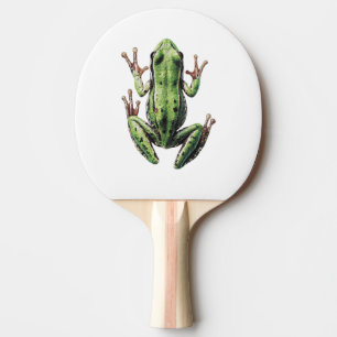 Kriechender Frosch Tischtennis Schläger
