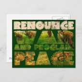 Krieg beenden und Frieden verkünden Postkarte (Vorne/Hinten)