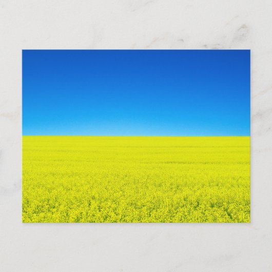 Krieg und Frieden Postkarte (Vorderseite)