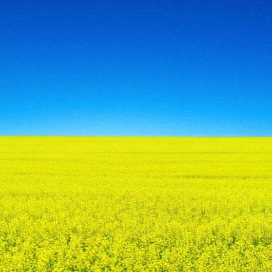 Krieg und Frieden Postkarte