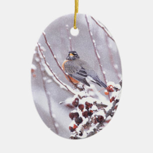 Krieger Amerikanische Rotkehlchen im Winter Keramikornament