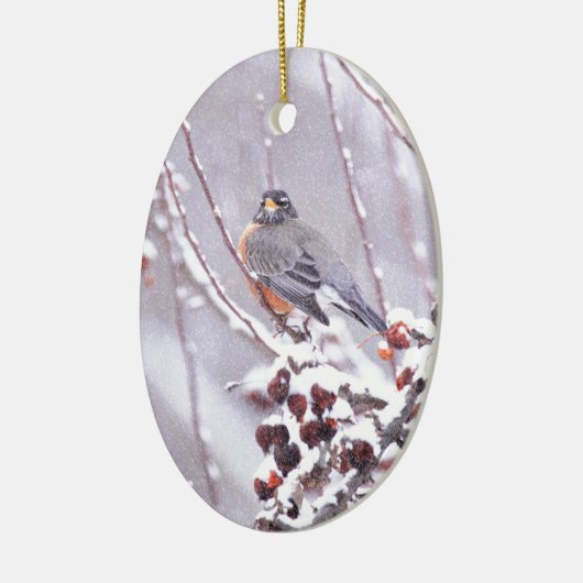 Krieger amerikanischer Robin im Winter Keramikornament (Links)