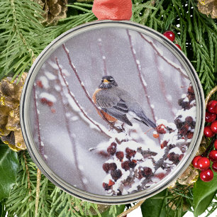Krieger amerikanischer Robin im Winter Silbernes Ornament