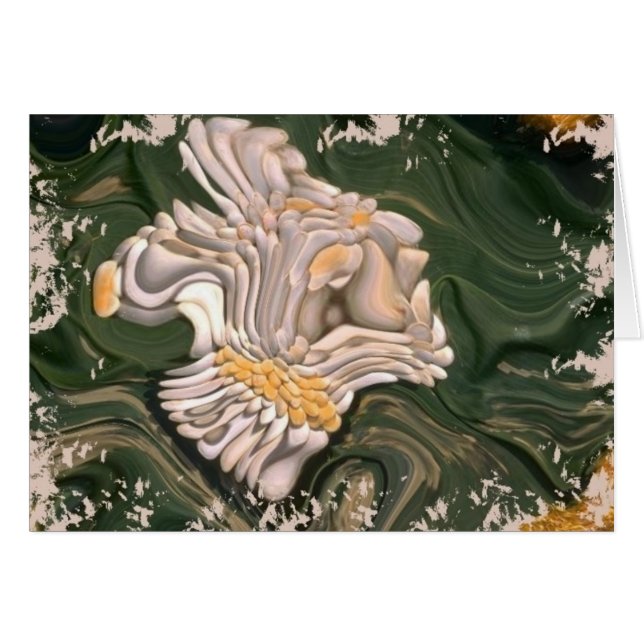 Kriegers-Profil (Vorderseite (Horizontal))