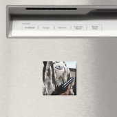 Kriegsgerät für die Flotte Magnet (In Situ (Geschirrspüler))