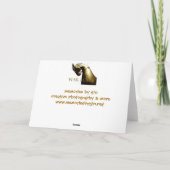 Kriegspferde und Grußgeschenke Karte (Rückseite)