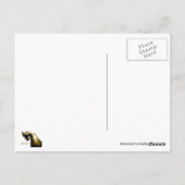 Kriegspferde und Grußgeschenke Postkarte (Rückseite)