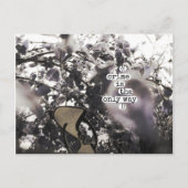 Kriminalität ist die einzige Möglichkeit Postkarte (Vorderseite)