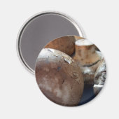 Kriminpilze Magnet (Vorderseite/Rückseite)