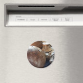 Kriminpilze Magnet (In Situ (Geschirrspüler))