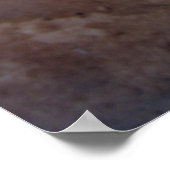 Kriminpilze Poster (Ecke)