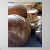 Kriminpilze Poster (Vorne)