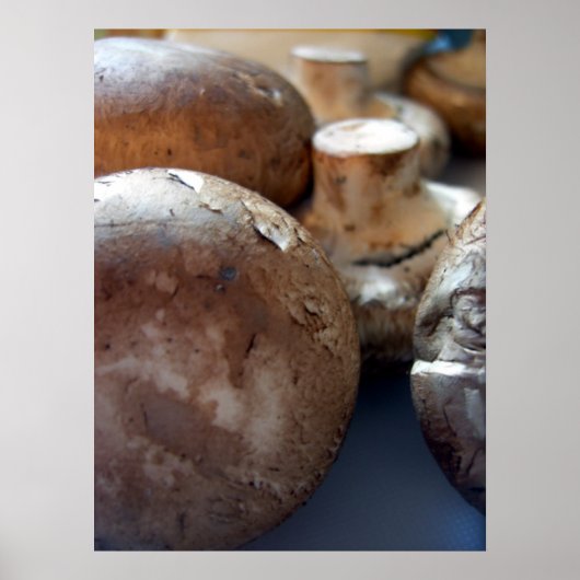 Kriminpilze Poster (Vorne)