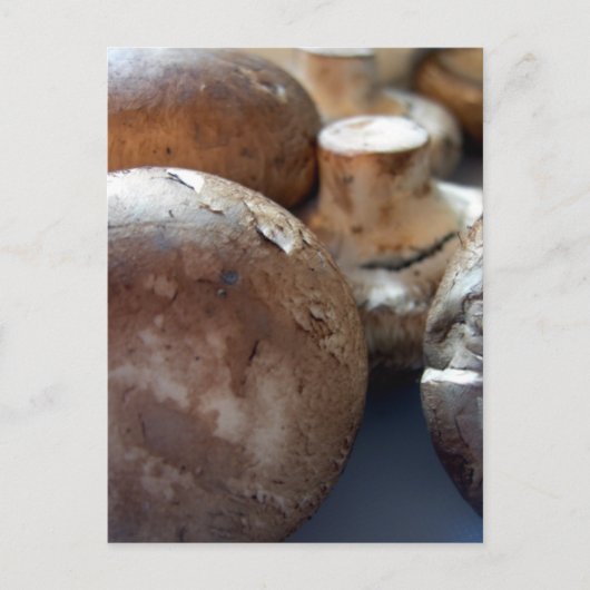 Kriminpilze Postkarte (Vorderseite)