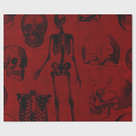 Krimson & Black Skeletons Anatomie Geschenkpapier (Flach)