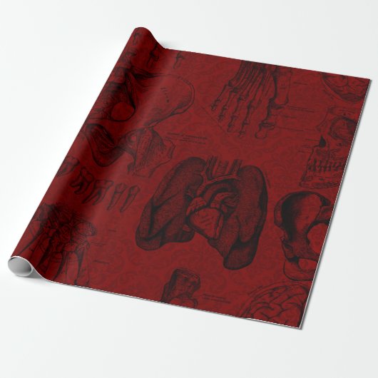 Krimson & Black Skeletons Anatomie Geschenkpapier (Ungerollt)