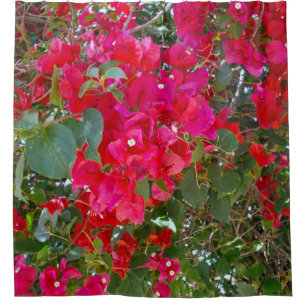 Krimsonblüten: Tanz der roten Bougainvilleas Duschvorhang