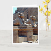 Krio-Sphinx-Statuen im Karnak-Tempel, Luxor, Ägypt Karte (Gelbe Blume)