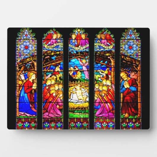 Krippe aus gefestigtem Glas Fotoplatte (Vorderseite)