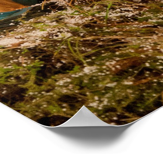 Krippe Poster (Ecke)