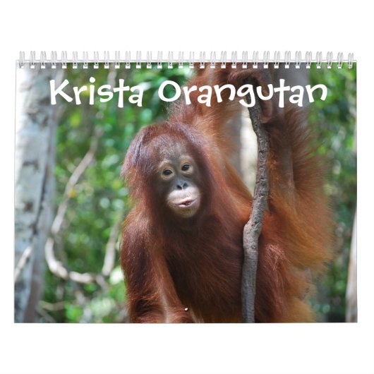 Krista Orang-Utan Dschungel-Schule Kalender (Titelbild)