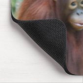 Krista Orang-Utan Dschungel-Tier-Erhaltung Mousepad (Ecke)