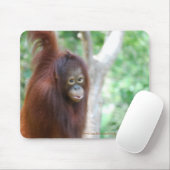 Krista Orang-Utan Dschungel-Tier-Erhaltung Mousepad (Mit Mouse)