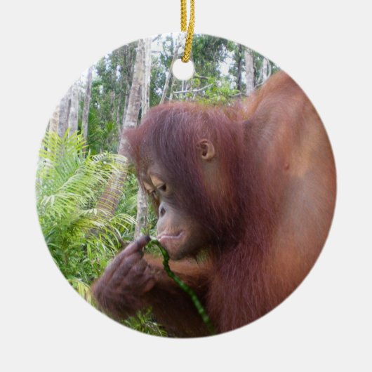 Krista Orang-Utan in Borneo Keramikornament (Vorne)