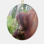 Krista Orang-Utan in Borneo Keramikornament (Links)