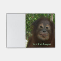 Krista Orang-Utan