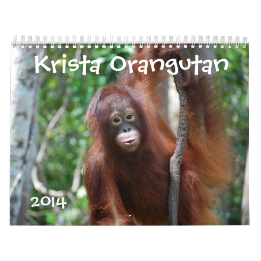 Krista Orang-Utan Tier-Fotografie 2014 Kalender (Titelbild)