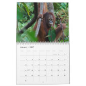 Krista Orang-Utan Tier-Fotografie 2014 Kalender (Jan 2027)