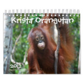 Krista Orang-Utan Tiererhaltung Kalender (Titelbild)