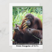 Krista Orangutan Borneo Rainforest Blank Card Dankeskarte (Vorne/Hinten)