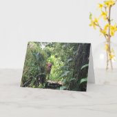 Krista Orangutan Explores Rainforest, Indonesien Karte (Gelbe Blume)