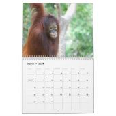 Krista Orangutan Wohltätigkeit Kalender (Mär 2026)