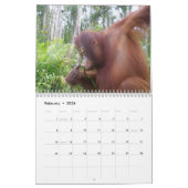 Krista Orangutan Wohltätigkeit Kalender (Feb 2026)