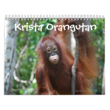 Krista Orangutan Wohltätigkeit