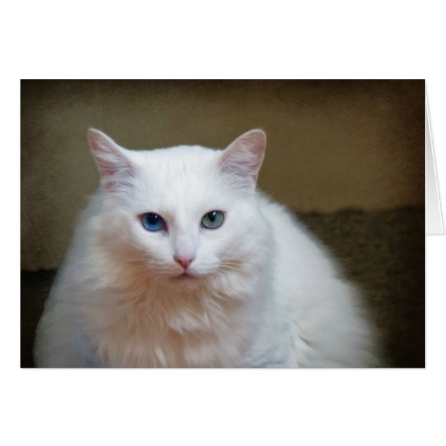 Kristall (Vorderseite (Horizontal))