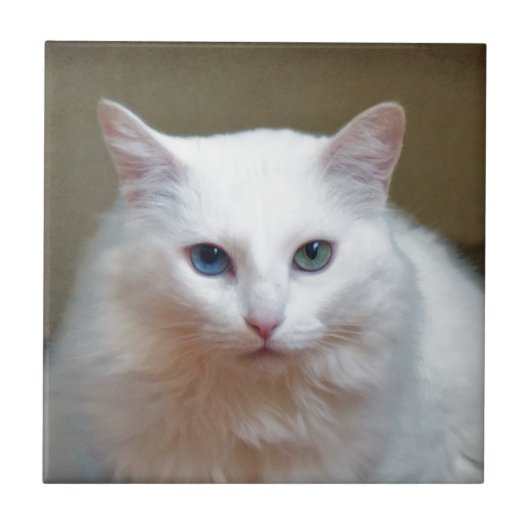 Kristall Fliese (Vorderseite)