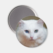 Kristall Magnet (Vorderseite/Rückseite)