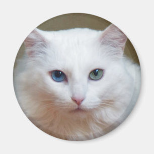 Kristall Magnet