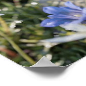 Kristall Schmetterlingsgarten Glanz Poster (Ecke)