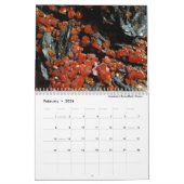 Kristalle: Geometrie in der Natur Kalender (Feb 2026)