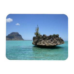 Kristallfelsen bestanden aus Koralle Magnet