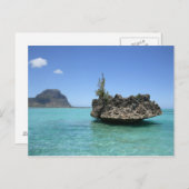 Kristallgestein aus Korallen Postkarte (Vorne/Hinten)