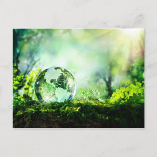 Kristallkugel in einem grünen Wald Postkarte